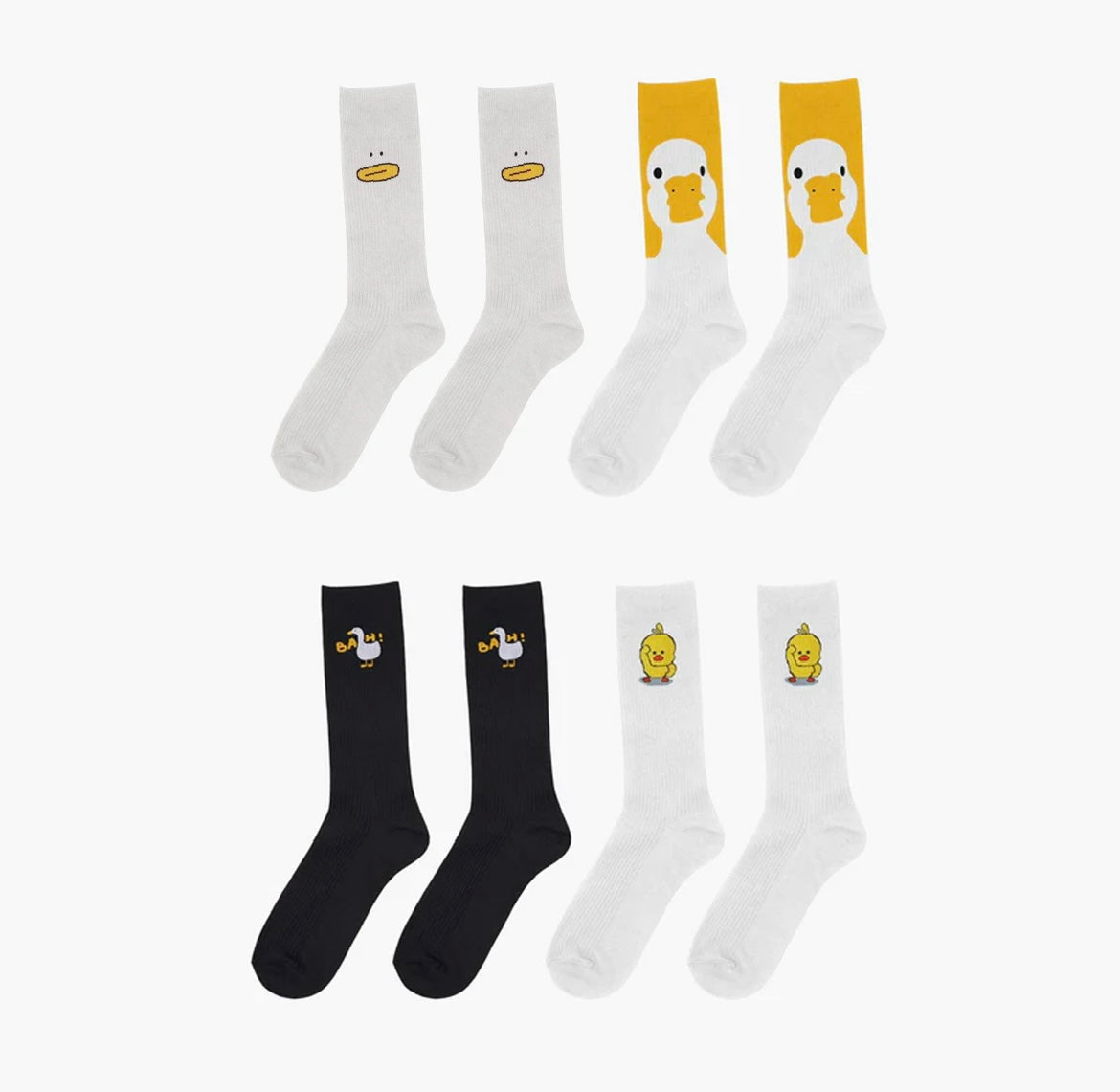 Duck Collection Set Of 4